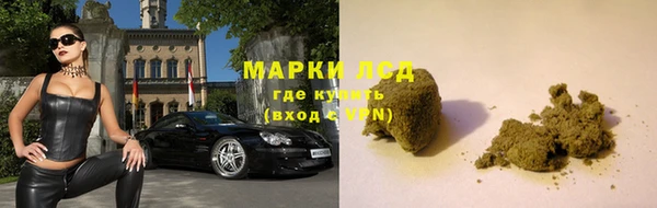 индика Алексеевка