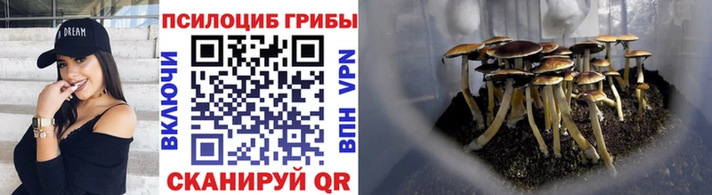 Псилоцибиновые грибы Magic Shrooms  Снежногорск 